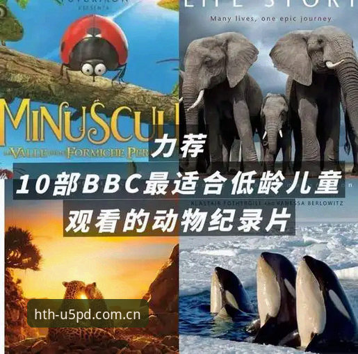 华体会2025中国官网入口2026最新版本 揭秘BBC新纪录片背后:索斯盖特为何选择“改变游戏”而非沉溺胜利?